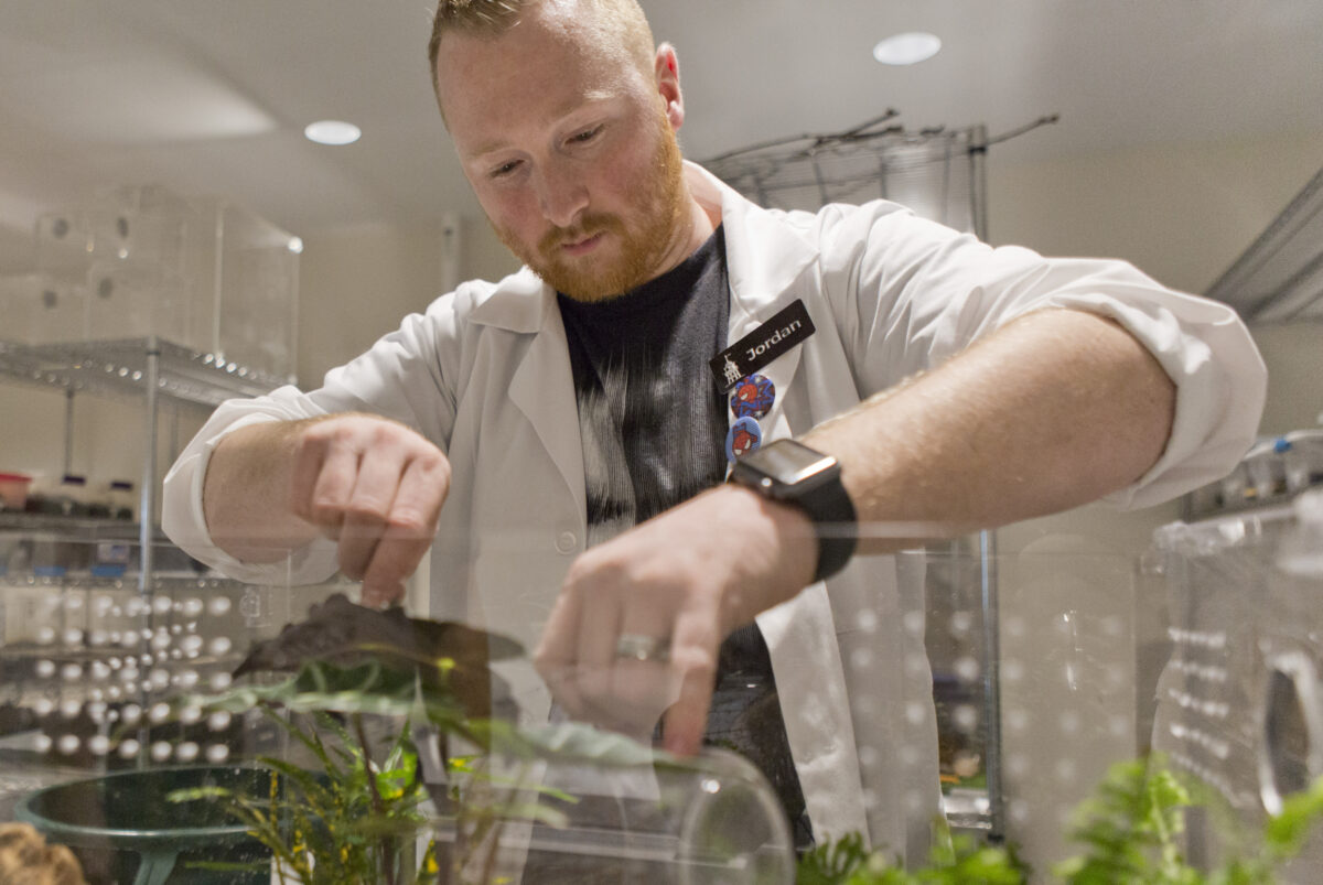 Thanksgiving Point butterfly exhibit gets visitors up close with
